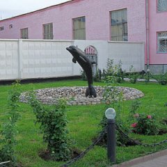 Дельфин черный