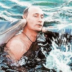 Дельфин