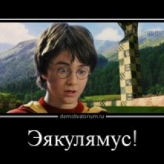 Гарри Потер