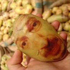 Картоха