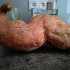 Картошка кач