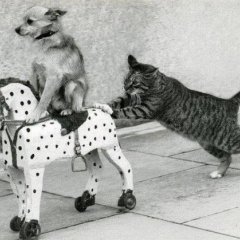 Катись