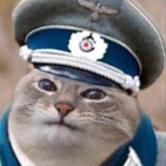КОТ агент ЛЮФТВАФЕ