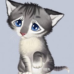 Котик