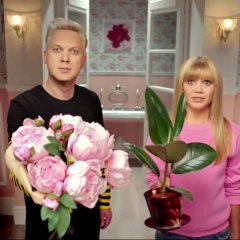 Может фикус