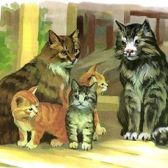 Мы коты