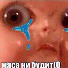 Мяса ни будит0