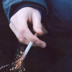 Плоди систему