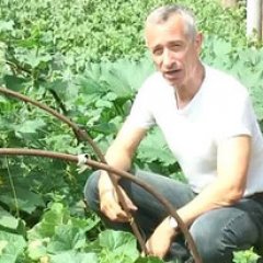 Попов