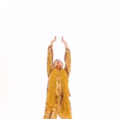 PPAP