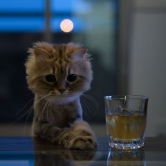 Ьрарь
