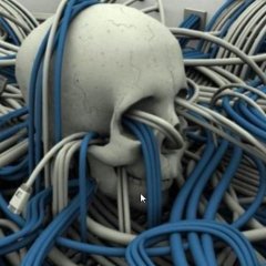 Scull