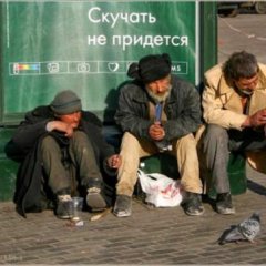 Скучают скучки