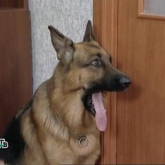 Скучна