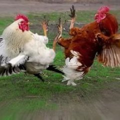 Вейп