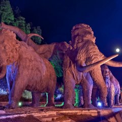 Vkcomxmonline ханты-мансийск
