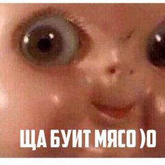Ща буит мясо