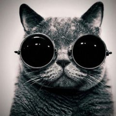 Наркота