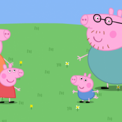PIG