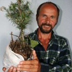 Саженцы и семена