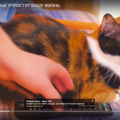 У Куки стырили пульт