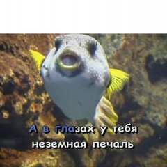 Ва