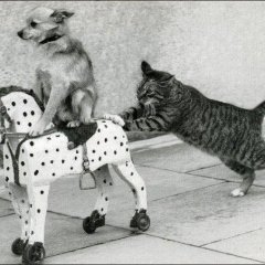 111