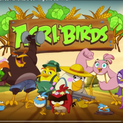 Angry birds