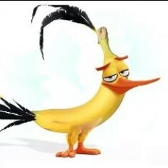 Angry birds