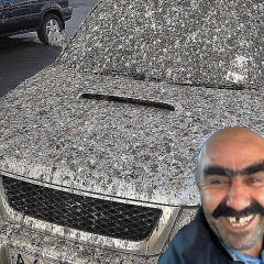 Ашот грачи пролетели