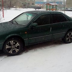 Баран
