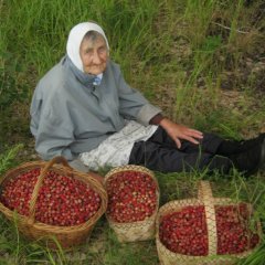 Боярышник