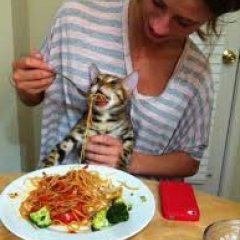 Девушка кормит кота