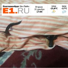Екнк
