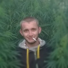 Файний Паца