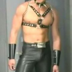 Gachimuchi van