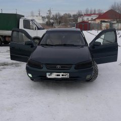 Гандон