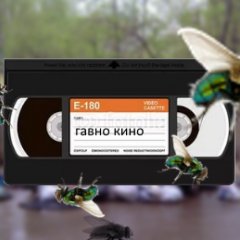 Гавнафилмс презентс