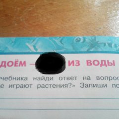 Гениус