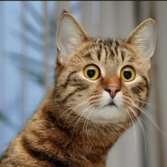 Господи это это что нечто это что то невообразимое