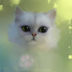 Киса