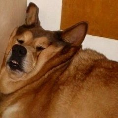 Когда отец