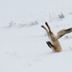 Когда решил убраться