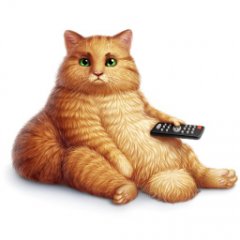 Кот с пультом