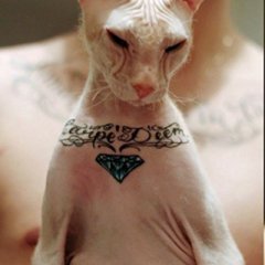Котэ