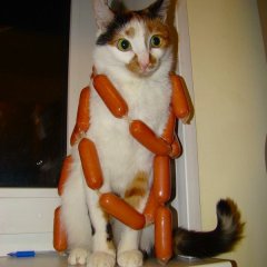 Котэ