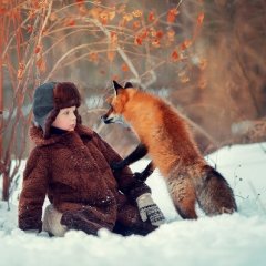 Лиса пристаёт к мальчику