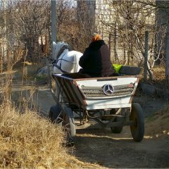 Мерс прикол