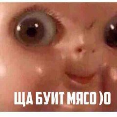 Мясо