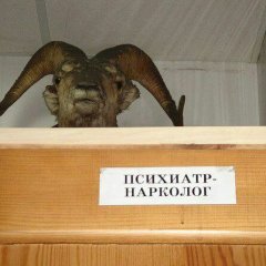 Нарколог